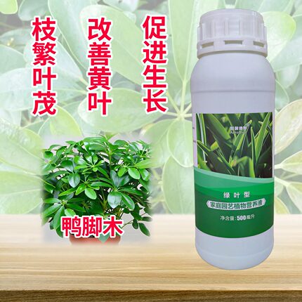 鸭脚木鸭掌木鹅掌柴营养液发财树盆地栽绿植专用氮磷钾水溶性花肥
