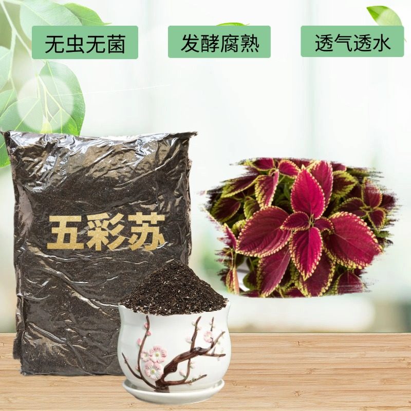 五彩苏彩叶草专用椰砖土家用通用型盆地栽花卉植物翻换透气种植土