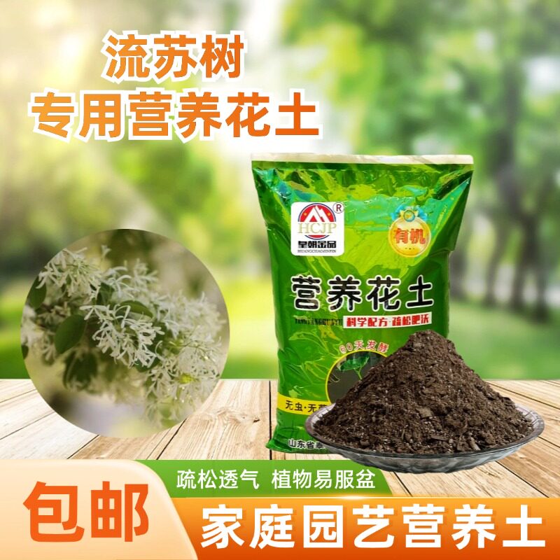 四月雪流苏树苗油根子专用营养花配方介质/营养土