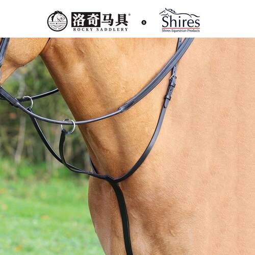 英国Shires标准低头革（Aviemore）洛奇马具8215001