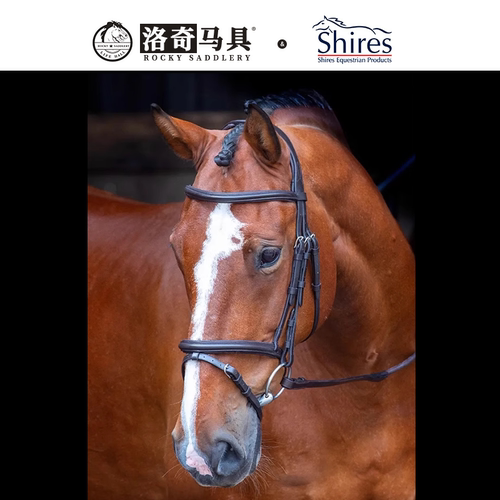 英国牛皮水勒缰进口马术马具