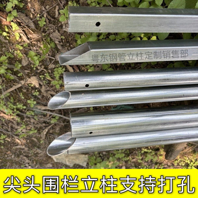 热镀锌超硬尖头加厚加长钢管养殖种植围栏立柱铁杆子大棚百香果