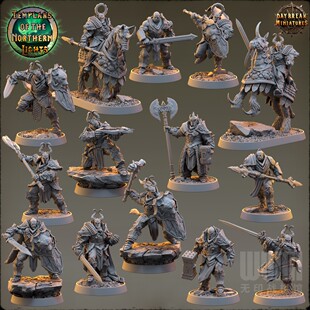 【极地骑士】骑士 斧手 弩手 锤手 人类 光辉DND跑团桌游棋子模型