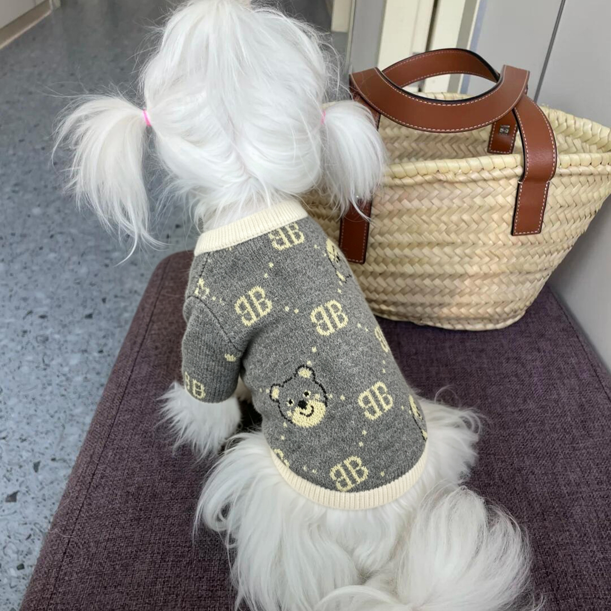 小狗的衣服冬天小型犬高颜值卡通图案背心雪纳瑞防脏比熊保暖马甲图片