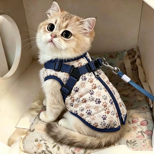 猫咪秋冬季保暖加绒加厚衣服金渐层防脏英短高颜值幼猫秋冬装棉衣