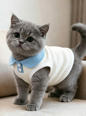 蓝猫衣服英短薄款夏天防掉毛猫背心舒适宠物服装翻领无袖白色纽扣