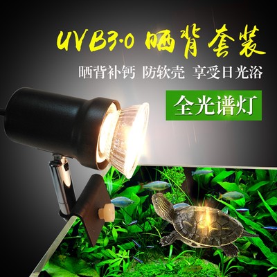 乌龟晒背灯uva+uvb全光谱太阳加热灯泡加温保温补钙杀菌套装迷你