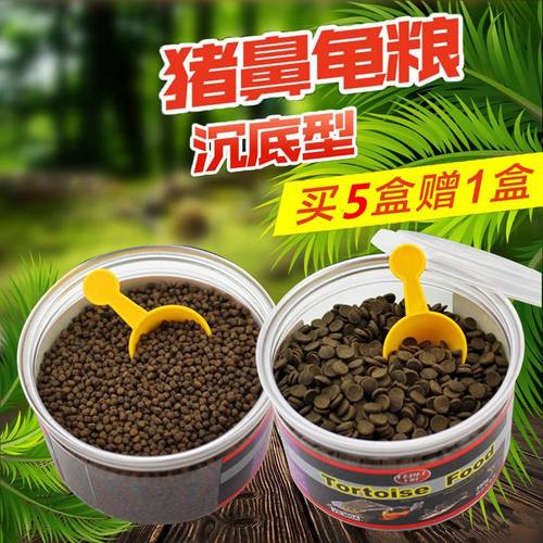 沉底麝香长颈蛋猪鼻龟深水下沉水