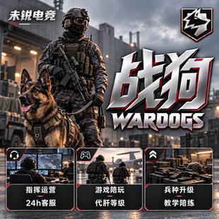 战狗WARDOGS|代练陪玩|专业车队|STEAM游戏|等级货币