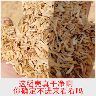 【稻壳】新鲜稻糠酿酒填充干净种花养草特价枕头稻谷壳芦丁鸡饲料