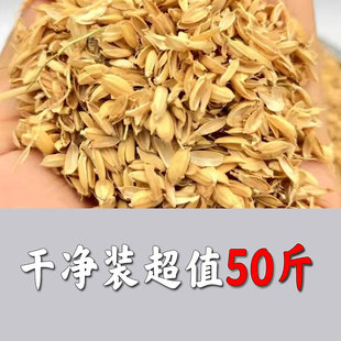 【稻壳】新鲜稻糠酿酒填充干净种花养草特价枕头稻谷壳芦丁鸡饲料