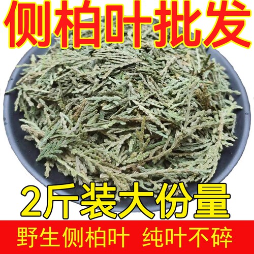 中药材侧柏叶1000g克正品野生侧伯叶扁柏叶丛柏叶侧柏叶干 可洗头