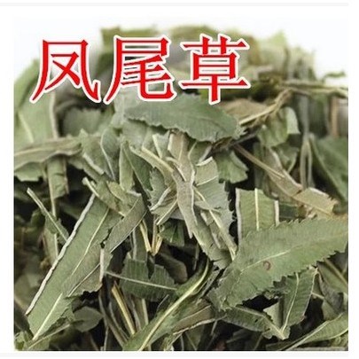 中药材 凤尾草 凤尾草 凤尾七 鸡爪草 阉鸡尾 金鸡尾 包邮