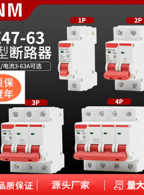 小型断路器DZ47-63 125 1P 2P 3P 4P空气开关家用16A 32A 63A100A