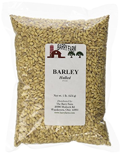 hulled barley, 1 lb. 脱壳大麦453.6g