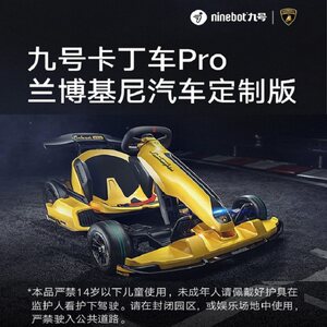 九号ninebot卡丁车pro2兰博基尼