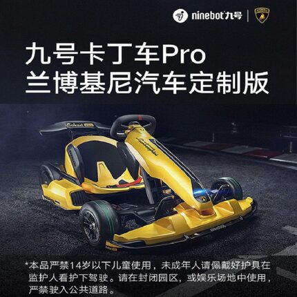 纳恩博Ninebot九号卡丁车pro2定制兰博基尼款电动平衡车max智能车