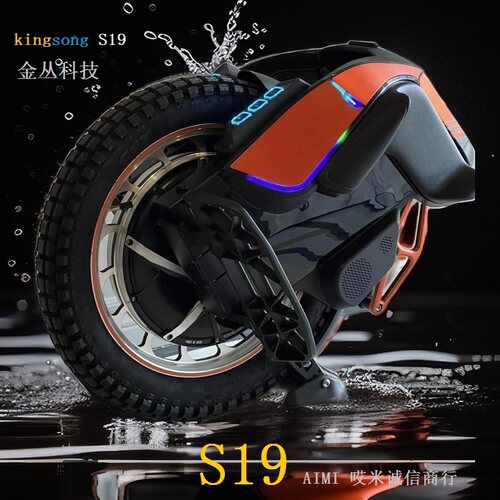 金丛kingsongs19电动独轮平衡车