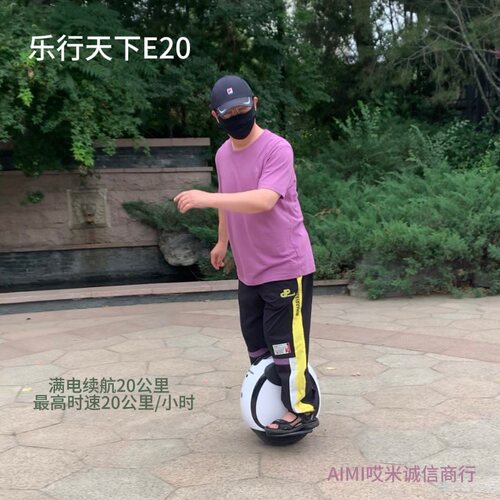 乐行天下E20小园仔并轮独轮车