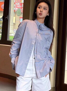 哥家商场同款2025春秋新款玫瑰花条纹长袖立领衬衣衫女宽松130050
