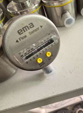 EMA伊玛 FL6002 流量传感器-议价