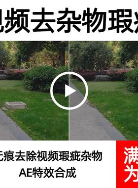 视频去杂物无痕消除路人穿帮威亚瑕疵视频p图移除动态物体去字幕
