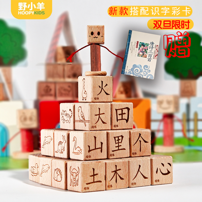 野小羊儿童益智拼装汉字积木玩具