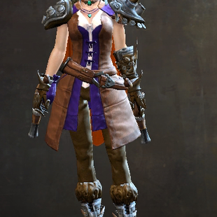 法外长靴皮肤 法外护肩皮肤 激战2法外头盔皮肤 法外手套皮肤