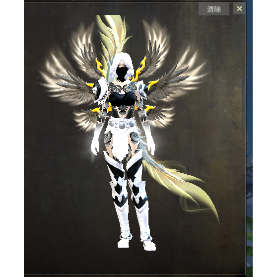 激战2火焰纹章符文包商城道具宝石含wegame