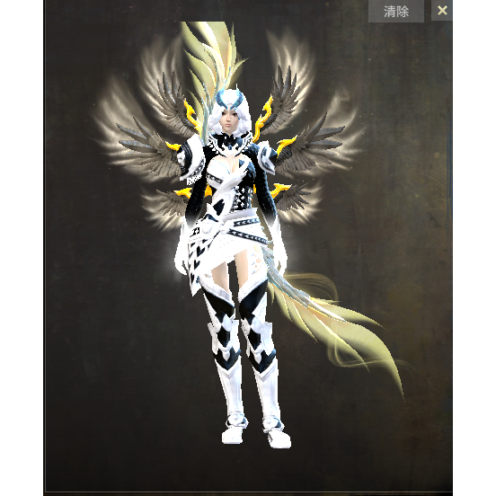 激战2寒冰掠夺者头盔护胸护手肩甲胫甲腿铠皮肤商城道具宝石含wg