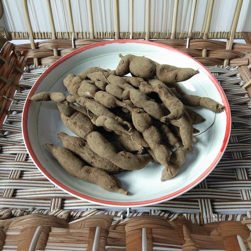 贵州新鲜雪里开中药材 山货地雷根单叶铁线莲根拐子药蛇松子500克