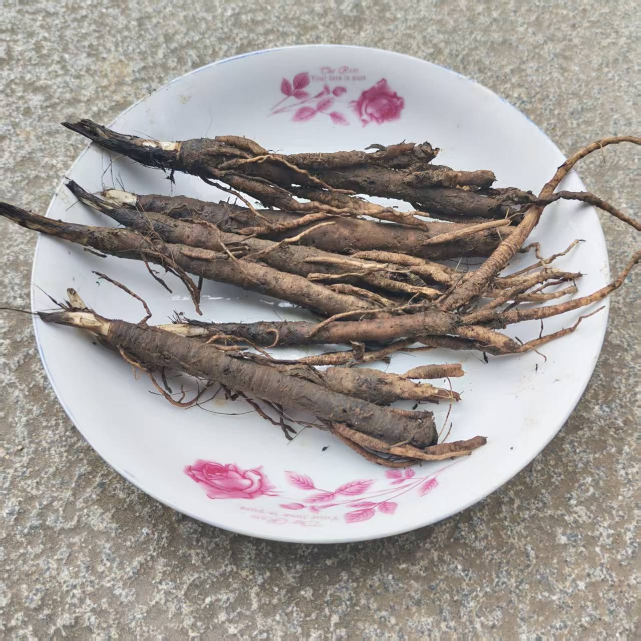 地产新鲜仙茅中药材500克 贵州药草仙茅参独脚仙矛海南参独茅丝毛