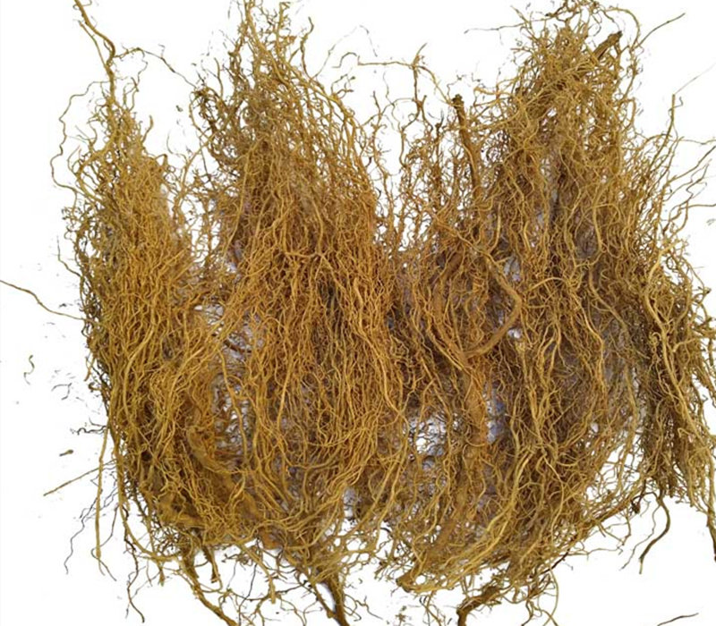 包邮贵州野生中草药白龙须250g 中药材八角枫根须状根八角梧桐根