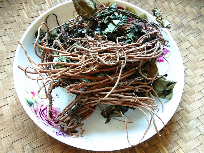 贵州中药材苕叶细辛 盘山草 山薯 大叶马蹄香 土细辛草药500g包邮