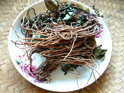 贵州马蹄香中药材500g包邮