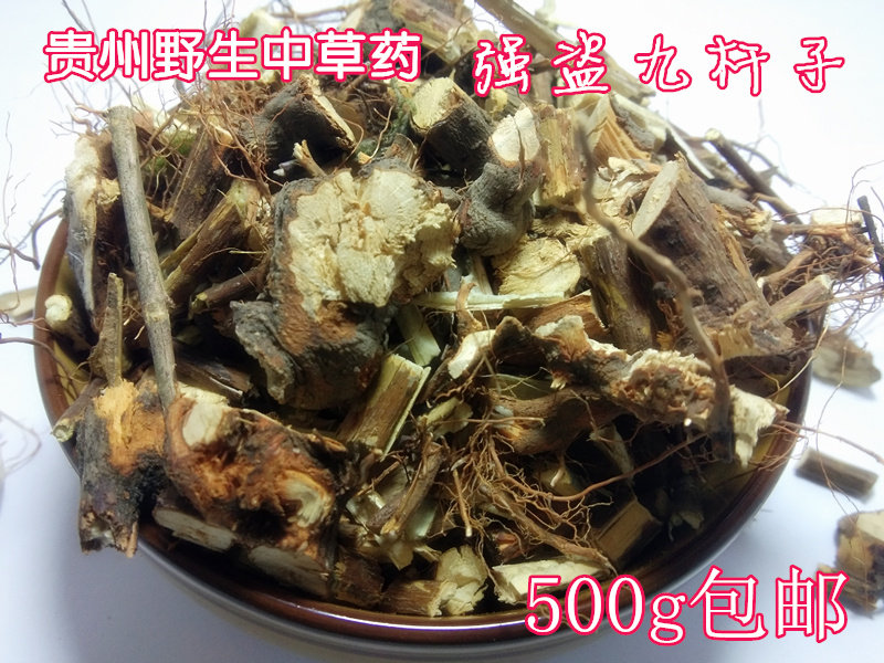 贵州中草药强盗九杆子 中药材绣线菊火烧尖土黄莲野生一撮椒500g