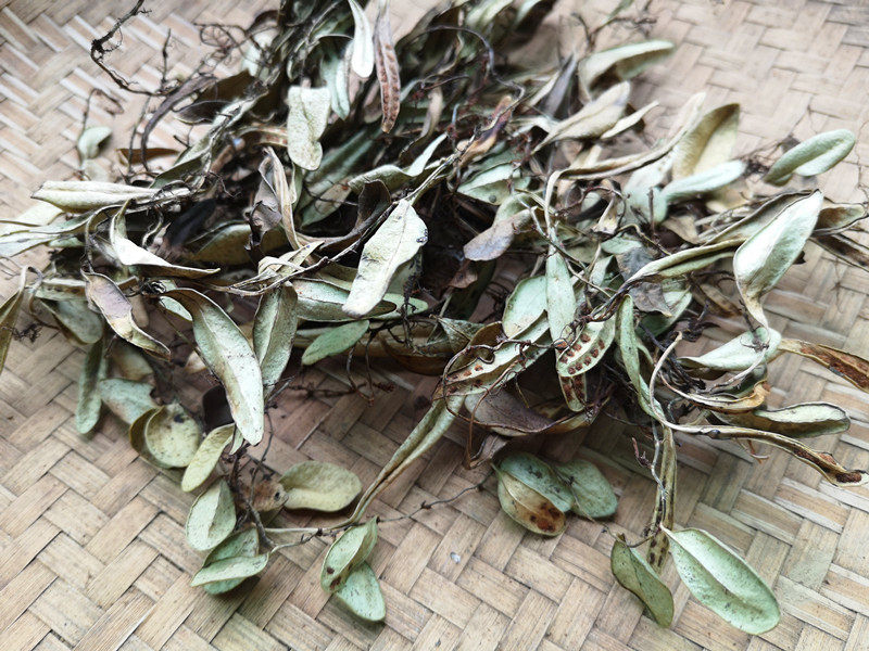 贵州野生抱石莲 中药材瓜子菜 飞莲草 抱树莲 抱石连新晒500g干货