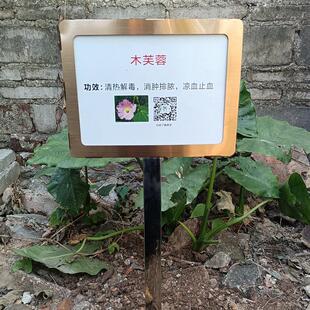 定制不钢材质插地树牌植物花草认养牌户外金属介绍绿化园林公园