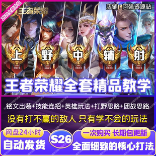 王者荣耀全套精品教学思路上单节奏中单打野意识铭文出装连招教学