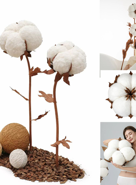 大型仿真棉花店铺橱窗装饰布置陈列摄影拍照写真道具商场活动打卡