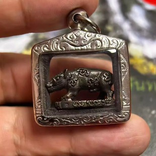 山猪 龙婆up 冠兰 瓦通塞 野猪 2552