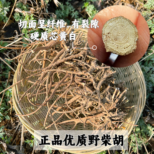 秦岭天然野生柴胡整根正品正宗北柴胡小柴胡汤散装新货 非中药材