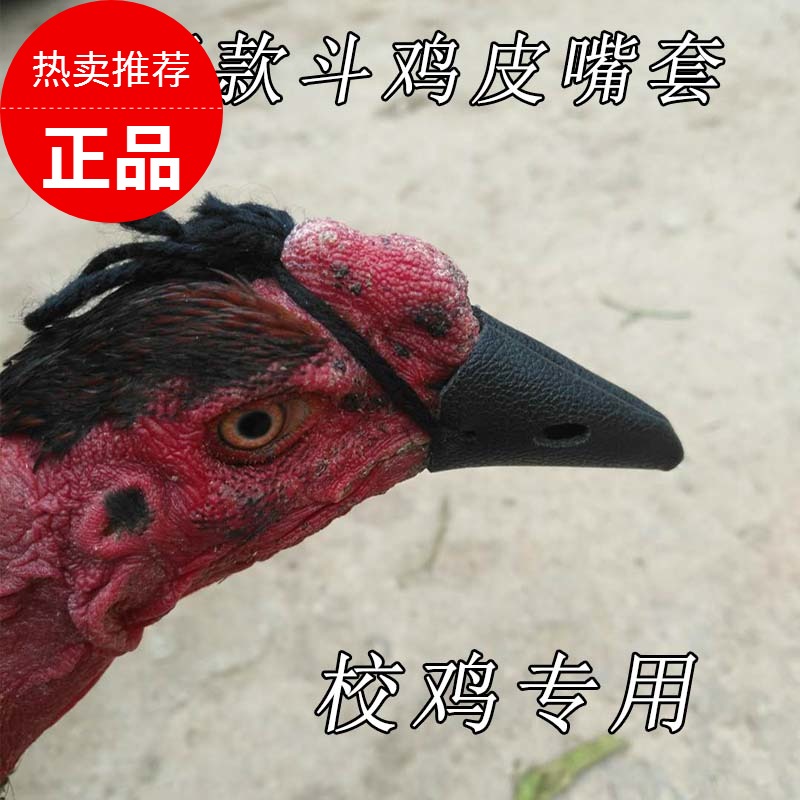 斗鸡皮嘴套斗鸡嘴套斗鸡打架嘴套