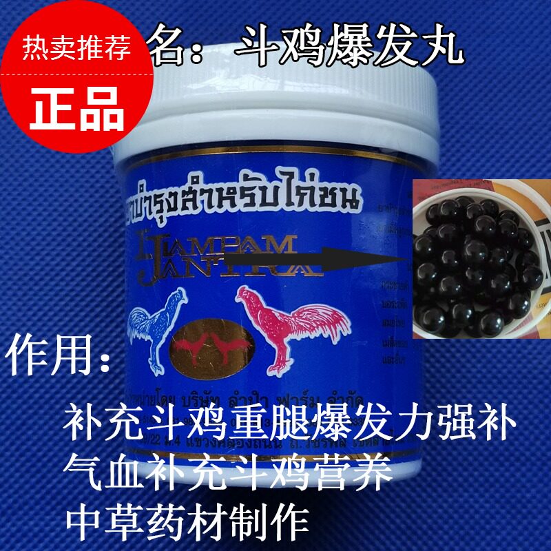斗鸡爆发丸增加耐力抗打斗鸡上场药斗鸡打场料斗鸡