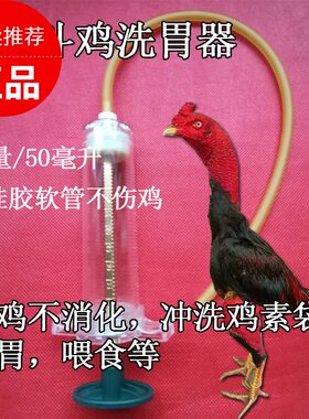 斗鸡用品斗鸡洗胃器斗鸡训练用品斗鸡喂食器斗鸡不消化斗鸡喂食器