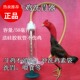 斗鸡用品斗鸡洗胃器斗鸡训练用品斗鸡喂食器斗鸡不消化斗鸡喂食器