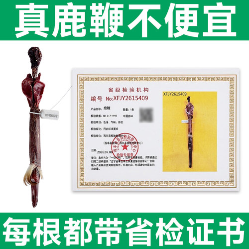 【省检】吉林双阳正宗梅花鹿鞭正品带证书发货鹿鞭整根干泡酒专用