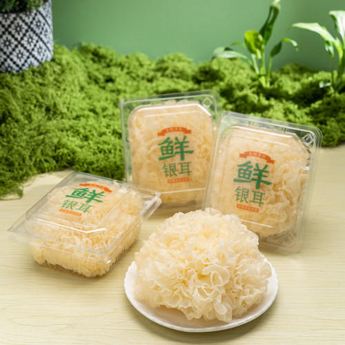古田新鲜银耳6朵独立装顺丰包邮