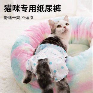 猫咪生理裤尿不湿宠物纸尿裤月经巾姨妈巾安全期公猫母猫幼猫猫用