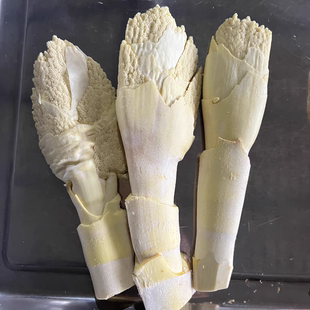 于都棕包赣南特产野生新鲜棕包米棕笋粽包花棕树尖棕包棕带壳发货